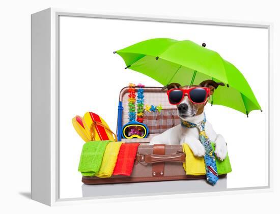 Summer Holiday Dog-Javier Brosch-Framed Premier Image Canvas