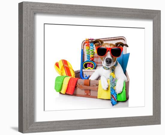 Summer Holiday Dog-Javier Brosch-Framed Photographic Print