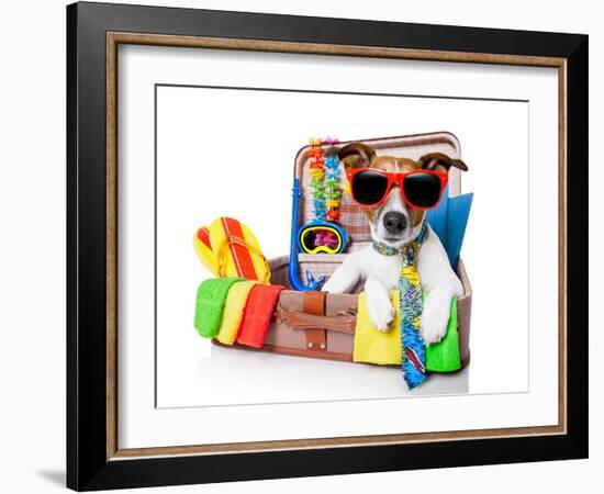 Summer Holiday Dog-Javier Brosch-Framed Photographic Print