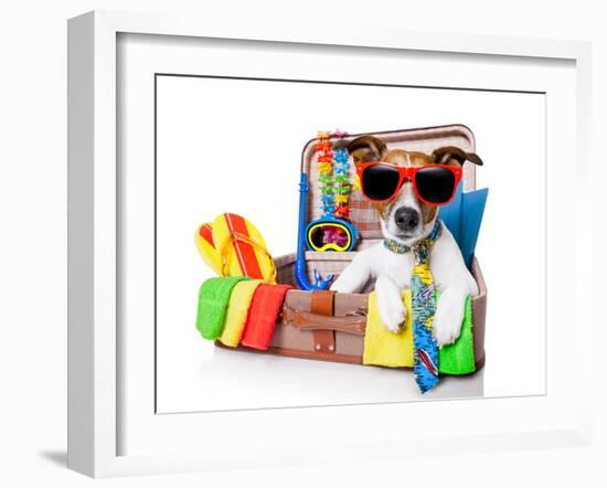 Summer Holiday Dog-Javier Brosch-Framed Photographic Print