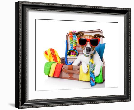 Summer Holiday Dog-Javier Brosch-Framed Photographic Print