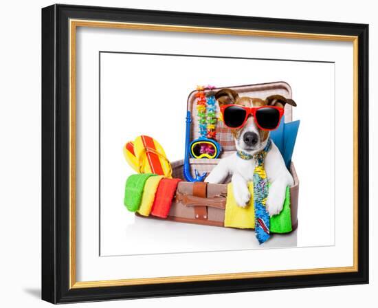 Summer Holiday Dog-Javier Brosch-Framed Photographic Print