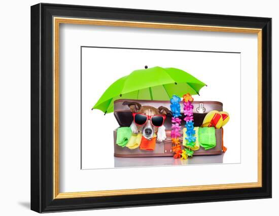 Summer Holiday Dog-Javier Brosch-Framed Photographic Print