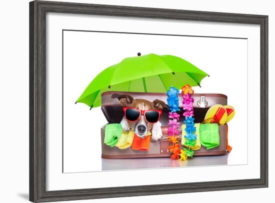 Summer Holiday Dog-Javier Brosch-Framed Photographic Print