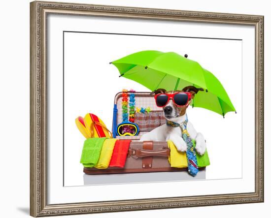 Summer Holiday Dog-Javier Brosch-Framed Photographic Print