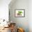 Summer Holiday Dog-Javier Brosch-Framed Photographic Print displayed on a wall