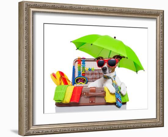 Summer Holiday Dog-Javier Brosch-Framed Photographic Print