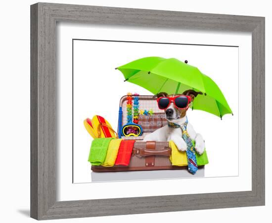 Summer Holiday Dog-Javier Brosch-Framed Photographic Print