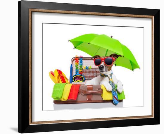 Summer Holiday Dog-Javier Brosch-Framed Photographic Print