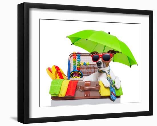 Summer Holiday Dog-Javier Brosch-Framed Photographic Print