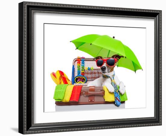 Summer Holiday Dog-Javier Brosch-Framed Photographic Print