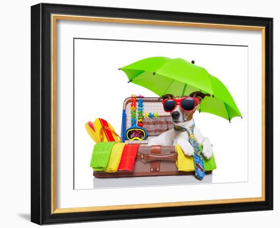 Summer Holiday Dog-Javier Brosch-Framed Photographic Print