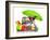 Summer Holiday Dog-Javier Brosch-Framed Photographic Print