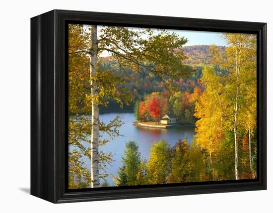 Summer Home Surrounded by Fall Colors, Wyman Lake, Maine, USA-Steve Terrill-Framed Premier Image Canvas