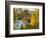 Summer Home Surrounded by Fall Colors, Wyman Lake, Maine, USA-Steve Terrill-Framed Photographic Print