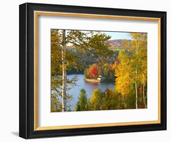 Summer Home Surrounded by Fall Colors, Wyman Lake, Maine, USA-Steve Terrill-Framed Photographic Print