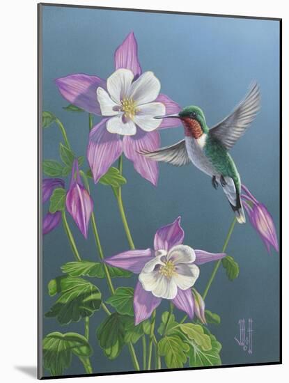 Summer Hummingbird-Jeffrey Hoff-Mounted Giclee Print