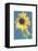 Summer I-Amy Melious-Framed Stretched Canvas