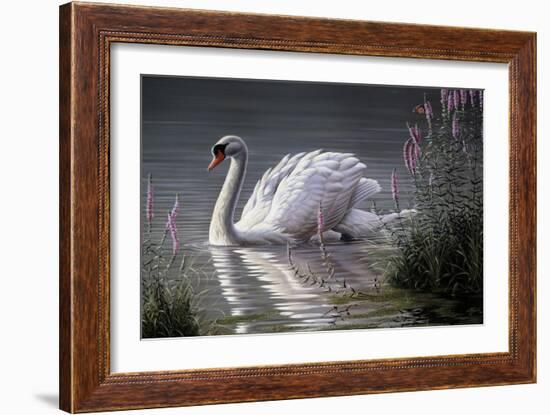 Summer Idyll - Mute Swan-Wilhelm Goebel-Framed Giclee Print