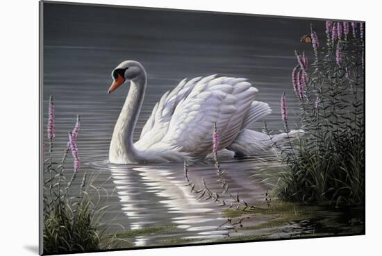 Summer Idyll - Mute Swan-Wilhelm Goebel-Mounted Giclee Print