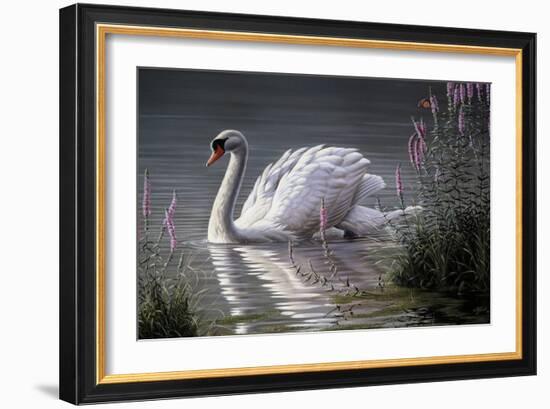 Summer Idyll - Mute Swan-Wilhelm Goebel-Framed Giclee Print