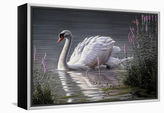 Summer Idyll - Mute Swan-Wilhelm Goebel-Framed Premier Image Canvas