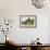 Summer Idyll-Henry John Yeend King-Framed Giclee Print displayed on a wall