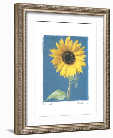 Summer II-Amy Melious-Framed Premium Giclee Print