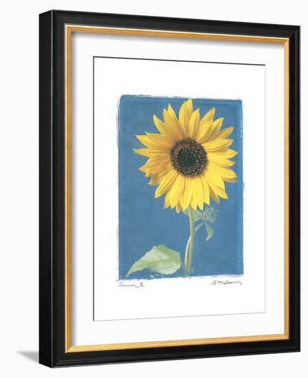 Summer II-Amy Melious-Framed Premium Giclee Print