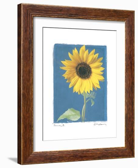 Summer II-Amy Melious-Framed Art Print