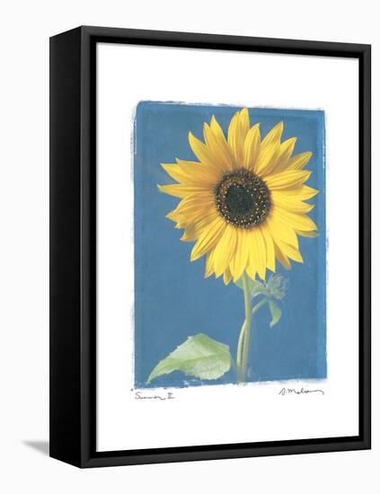 Summer II-Amy Melious-Framed Stretched Canvas