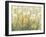 Summer in Bloom II-Tim O'toole-Framed Premium Giclee Print