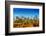 Summer in Denver Colorado-duallogic-Framed Photographic Print