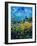 Summer In Foy Notre Dame-Pol Ledent-Framed Art Print