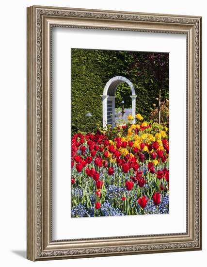 Summer in Hately Gardens, Victoria, British Columbia-Terry Eggers-Framed Photographic Print