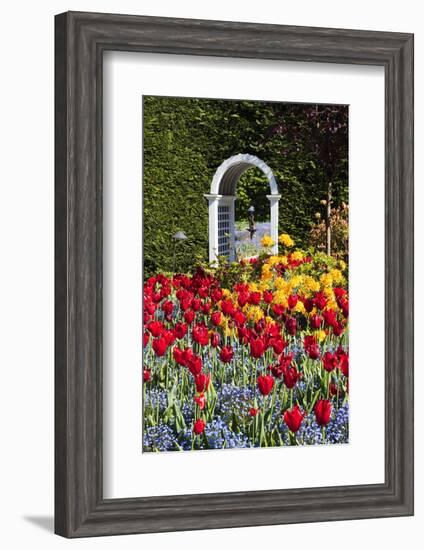 Summer in Hately Gardens, Victoria, British Columbia-Terry Eggers-Framed Photographic Print