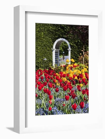 Summer in Hately Gardens, Victoria, British Columbia-Terry Eggers-Framed Photographic Print