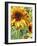 Summer in the Garden-Mandy Budan-Framed Premium Giclee Print