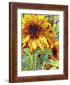 Summer in the Garden-Mandy Budan-Framed Giclee Print