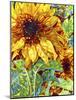 Summer in the Garden-Mandy Budan-Mounted Giclee Print