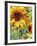 Summer in the Garden-Mandy Budan-Framed Giclee Print