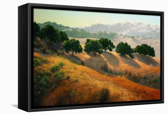 Summer in the Hills-Kathy O’Leary-Framed Stretched Canvas