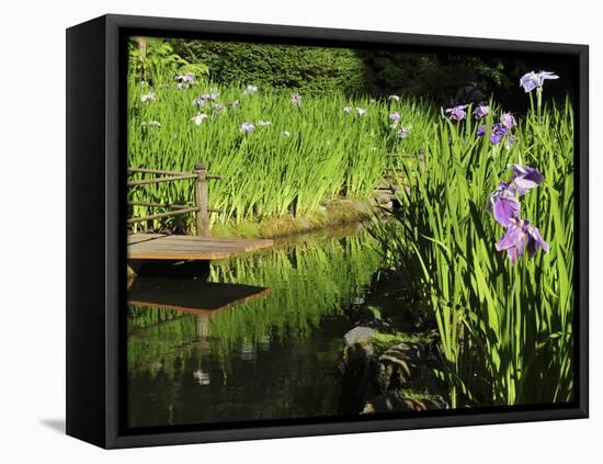 Summer in the Portland Japanese Garden, Portland, Oregon, USA-Michel Hersen-Framed Premier Image Canvas