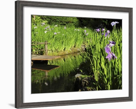 Summer in the Portland Japanese Garden, Portland, Oregon, USA-Michel Hersen-Framed Photographic Print