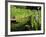 Summer in the Portland Japanese Garden, Portland, Oregon, USA-Michel Hersen-Framed Photographic Print