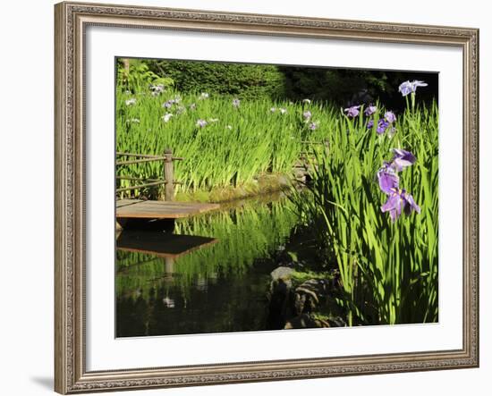 Summer in the Portland Japanese Garden, Portland, Oregon, USA-Michel Hersen-Framed Photographic Print