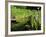 Summer in the Portland Japanese Garden, Portland, Oregon, USA-Michel Hersen-Framed Photographic Print