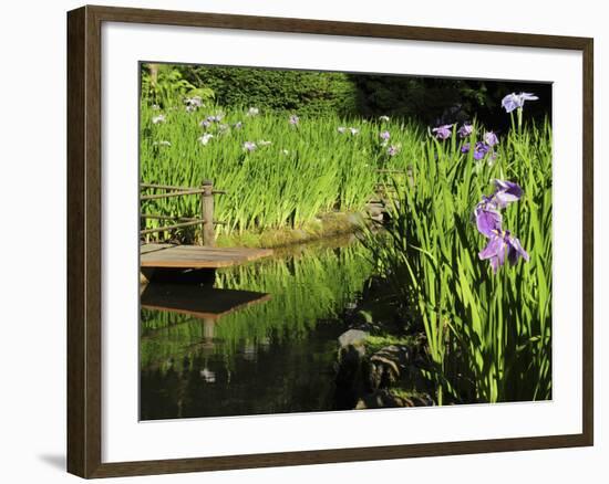 Summer in the Portland Japanese Garden, Portland, Oregon, USA-Michel Hersen-Framed Photographic Print