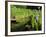 Summer in the Portland Japanese Garden, Portland, Oregon, USA-Michel Hersen-Framed Photographic Print