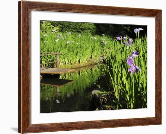 Summer in the Portland Japanese Garden, Portland, Oregon, USA-Michel Hersen-Framed Photographic Print